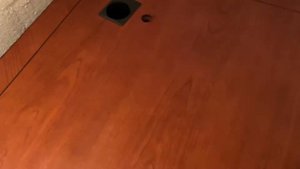 Как спасти полированную мебель от пыли