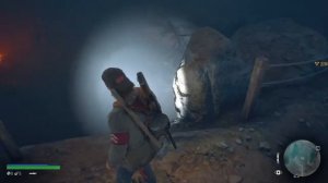 DAYS GONE Осмотреть пищеру Айсвинд Лава