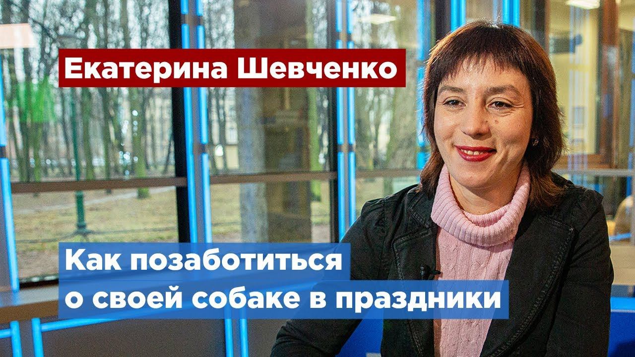 Ветеринар Екатерина Шевченко дала советы владельцам собак в праздничные дни