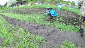 запахиваю рожь, пашу землю , сажаю картофель мотоблоком Нева МБ 2
