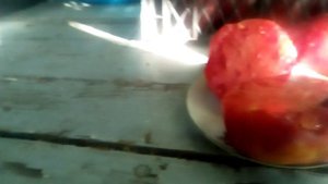 помидор сорт бычье сердце розовый