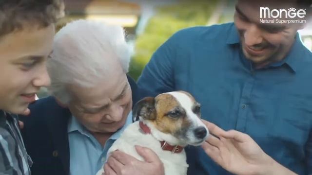 Monge - Гарантия бескомпромиссного качества смотреть онлайн