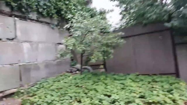 Центр Воронежа, Продолжение , отсутствие ливневки в многоэтажном доме смотреть онлайн