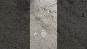 Мицубиси поджеро пинин 2004 года выпуска полный привод #деамиксид #ремонт