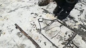 Щипцы для взвода проходных капканов