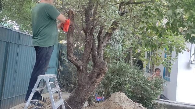 Безмасляная электропила.