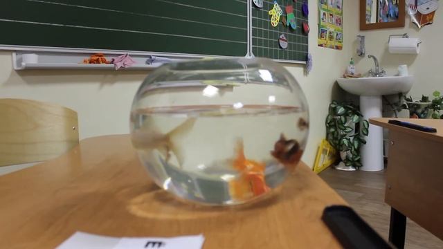 Банк видеоуроков. Занятие Утешевой Э.А. смотреть онлайн