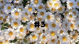 Танцуй если знаешь этот тренд