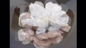 БЕЛЫХ РОЗ ЛЕПЕСТКИ - МОНТАЖ ТАТЬЯНЫ СИТНИКОВОЙ