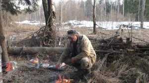 Встречаем северного вальдшнепа