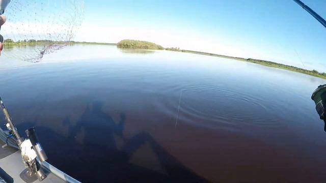 ЩУКА НА СПИННИНГ/ РЫБАЛКА В НИЖНЕВАРТОВСКЕ/ Fishing in Russia смотреть онлайн