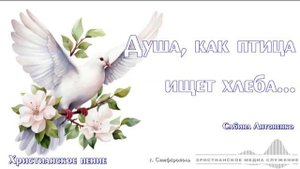 Душа, как птица ищет хлеба... | Христианское пение | Сабина Антоненко