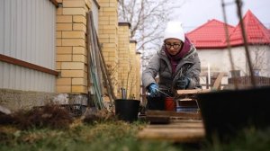 Офиопогон. Растения с АВИТО. Сезон садоводства 2023.