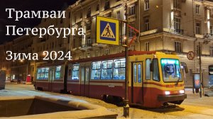 Петербургские трамваи Зима 2024г