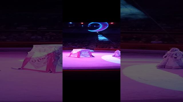 К СОЖАЛЕНИЮ УПАЛ ВО ВРЕМЯ ИСПОЛНЕНИЯ НОМЕРА