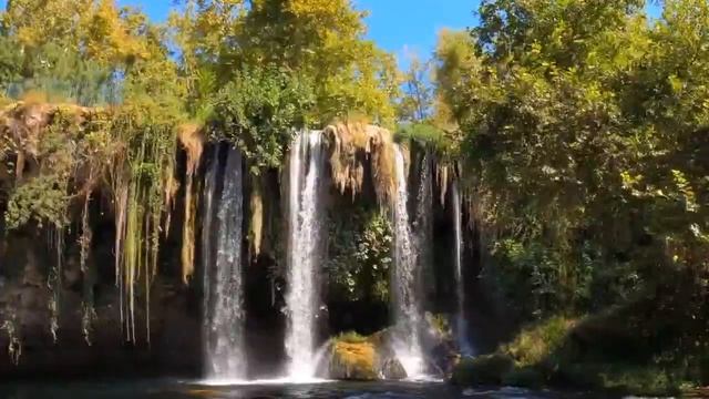 Звуки природы, пение птиц, звуки реки, для релаксации, сна, медитации смотреть онлайн