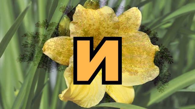 Сергею в день рождения смотреть онлайн