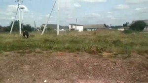 Поездка на поезде ЧС4Т-599 от станции Буда-Кошелёвская до станции Гомель