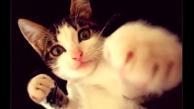 КАГАН СТАЙЛ смотреть онлайн