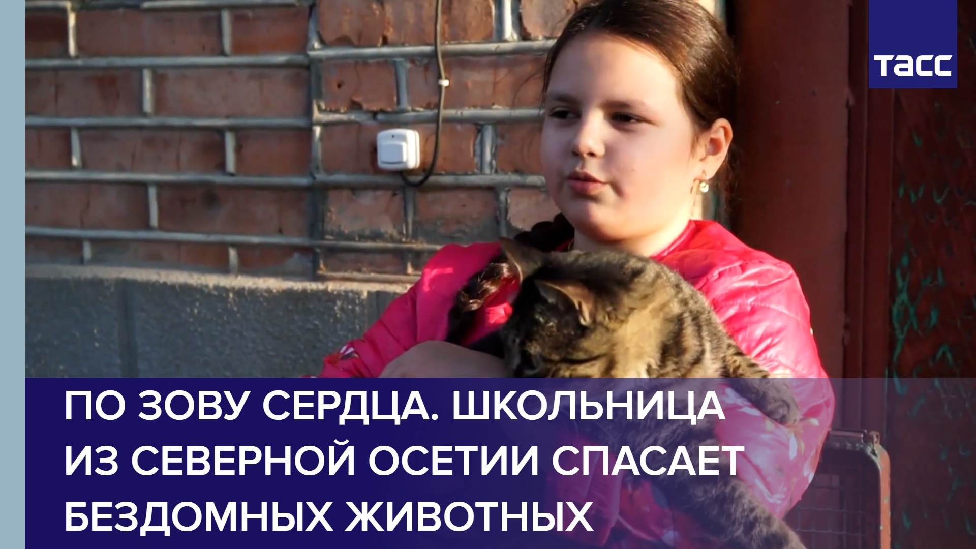 По зову сердца. Школьница из Северной Осетии спасает бездомных животных