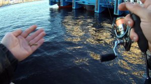 #31 Мормышинг. От мала до велика!