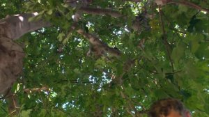 1000 Ways To Die Season 1 Episode 5 | FULL EPISODE