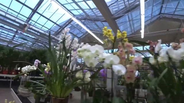 Что осталось после праздников в Оби смотреть онлайн