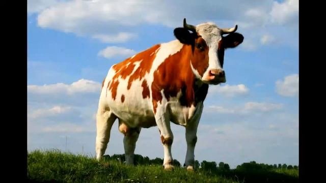 ФАКТЫ О НЕПАЛЕ