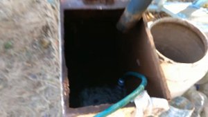 полив мотопомпа Forte 10c (для полива на даче/набора воды)