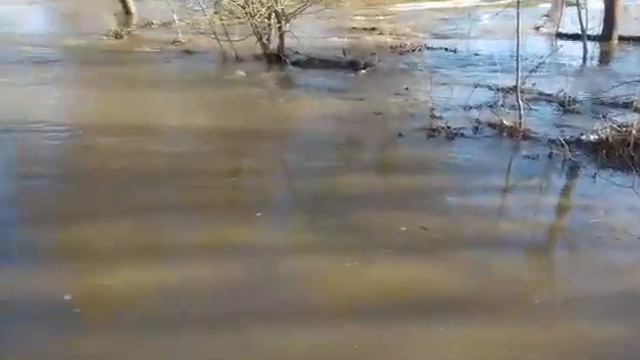 Паводок в н.п. Полыковичи - 1, ул. Ручейная, РБ