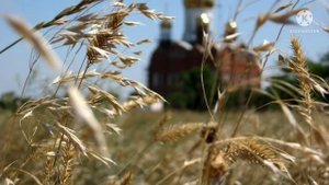 Болезни тела! Зачем люди болеют? Наставления Святых Отцов