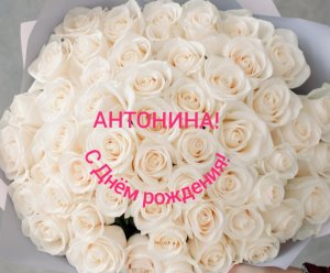 С Днём рождения, Антонина!
