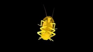 Rainbow cockroach dances to Daft Punk Around the World 1 hour
