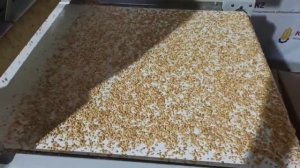 Машина посыпки кондитерских изделий дроблёным орехом, кунжутом, сахаром.