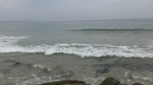 Как живут беженцы из Украины в Болгарии.  Стоит ли ехать?