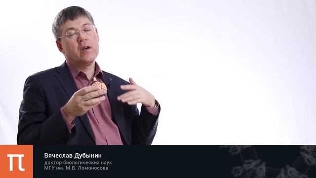 Мозжечок и базальные ганглии. Обучение движениям и двигательная память [ПостНаука]