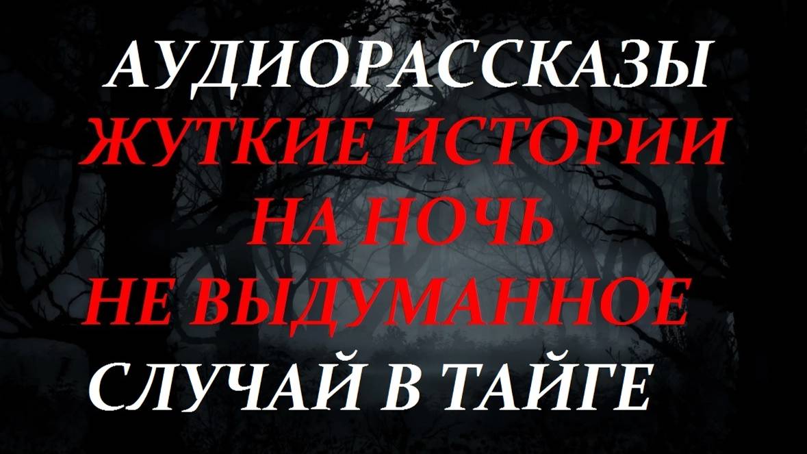 СТРАШНЫЕ РАССКАЗЫ НА НОЧЬ-СЛУЧАЙ В ТАЙГЕ