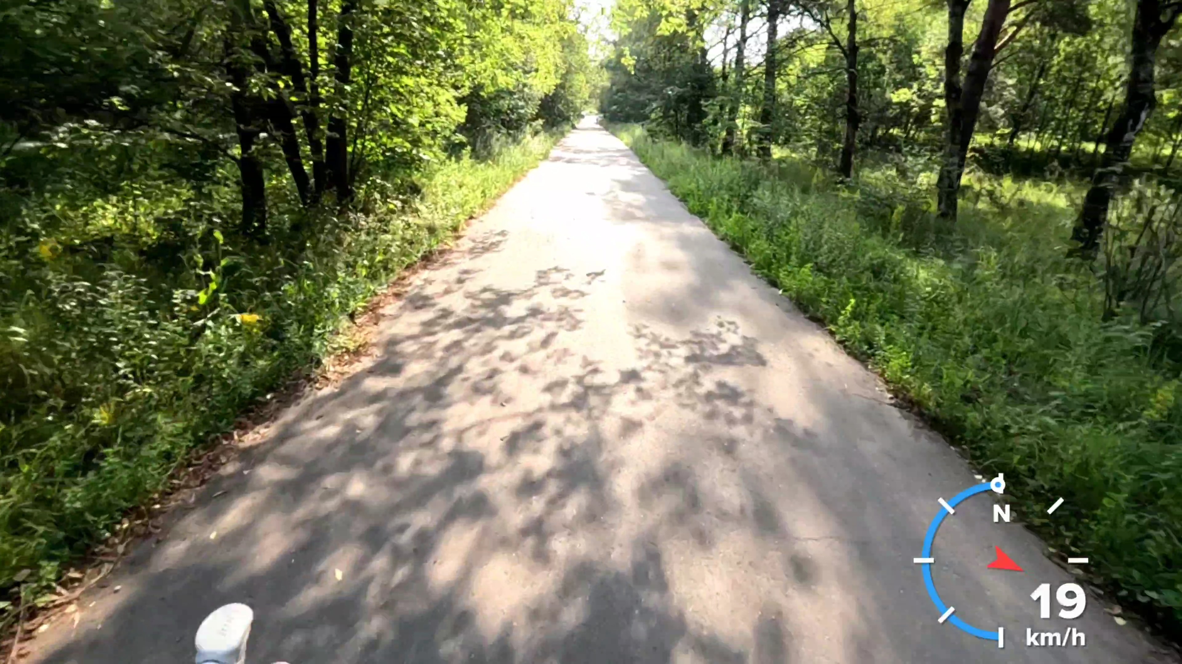 Тренировка на лыжероллерах по Акуловскому водоканалу в городе Королев