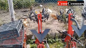 Как настроить культиватор для междурядной обработка картофеля окучниками и ежами, два в одном...