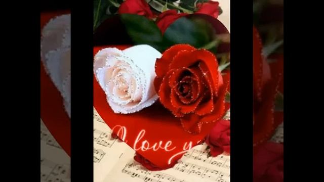 Сергей Сухачев - розы красные смотреть онлайн