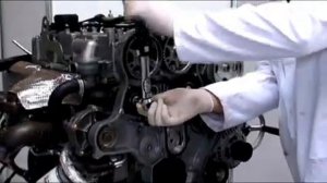 LDV Maxus timing belt Renewal and refit