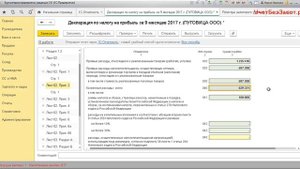 Налоговые регистры и расшифровка показателей декларации по налогу на прибыль в 1С
