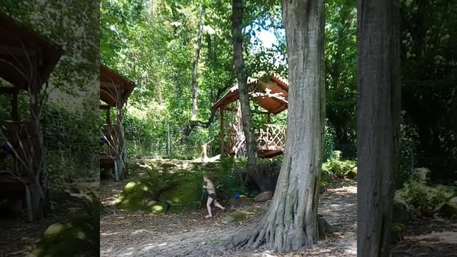 Добрый Сочи База отдыха в Хосте смотреть онлайн