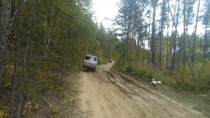 Инзерские зубчатки, покатухи. ТагАЗ тагер, УАЗ, Шевик.