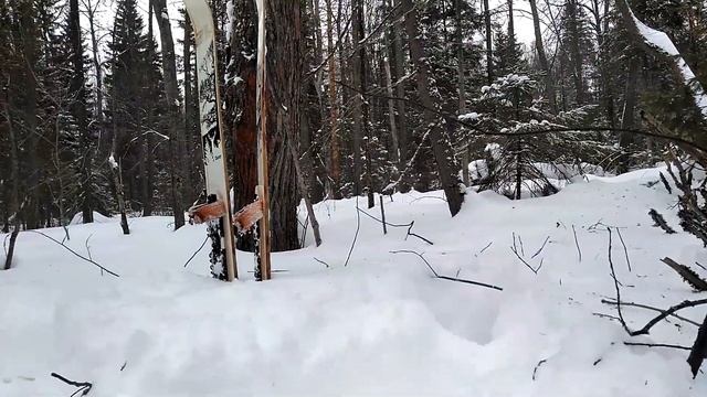Замечательное время провождение выходного дня//Вылазка в лес//Следы лося//Буран//с.Аскино