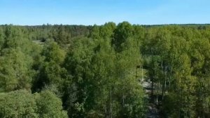 Ленинградская область, Приозерский район