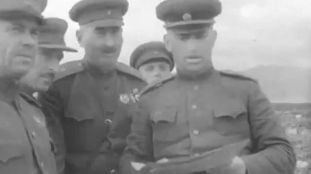 Гужевой транспорт на Малой Земле (Новороссийск)