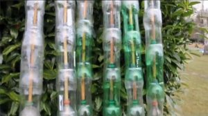 SASS | Plastic Bottle Greenhouse