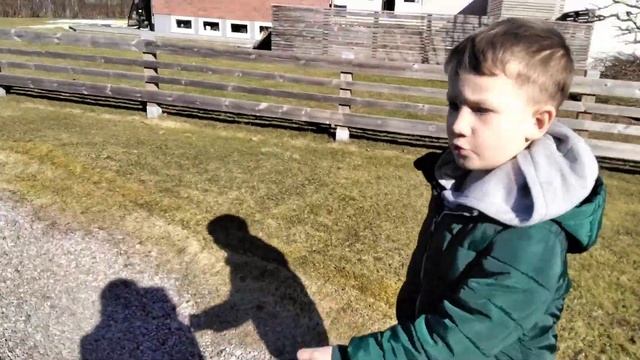 брат делает бит бокс смотреть онлайн