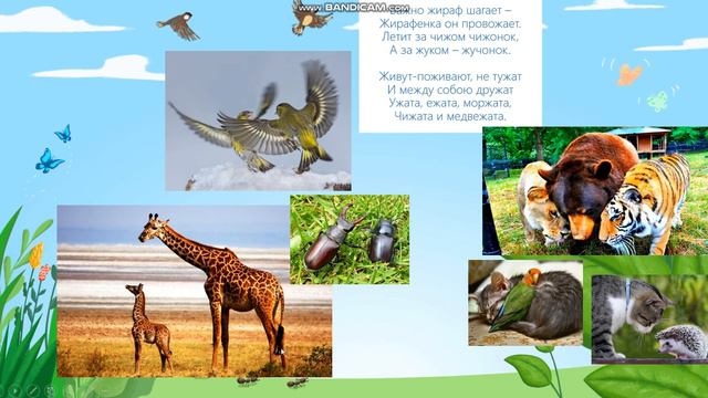 Пчелка Жужа-2